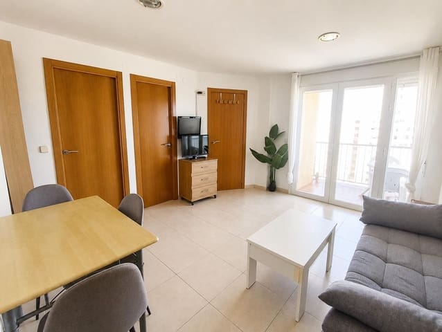 1 soverom Leilighet til leie i Gandia - € 450 (Ref: 9999632)