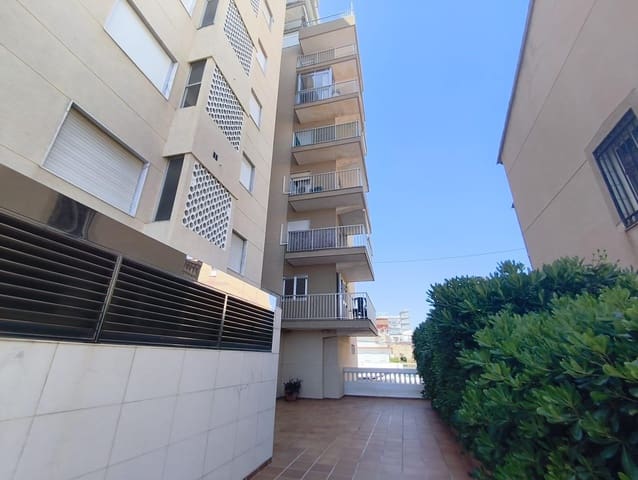 1 soverom Leilighet til leie i Gandia - € 450 (Ref: 9999632)