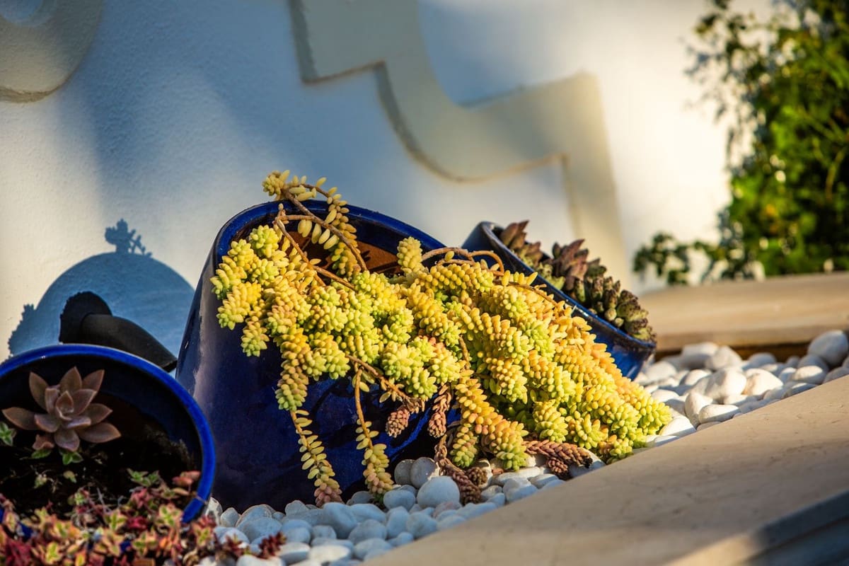 7 bedroom Villa for sale in Sotogrande with pool garage - € 1,700,000 (Ref: 8607973)