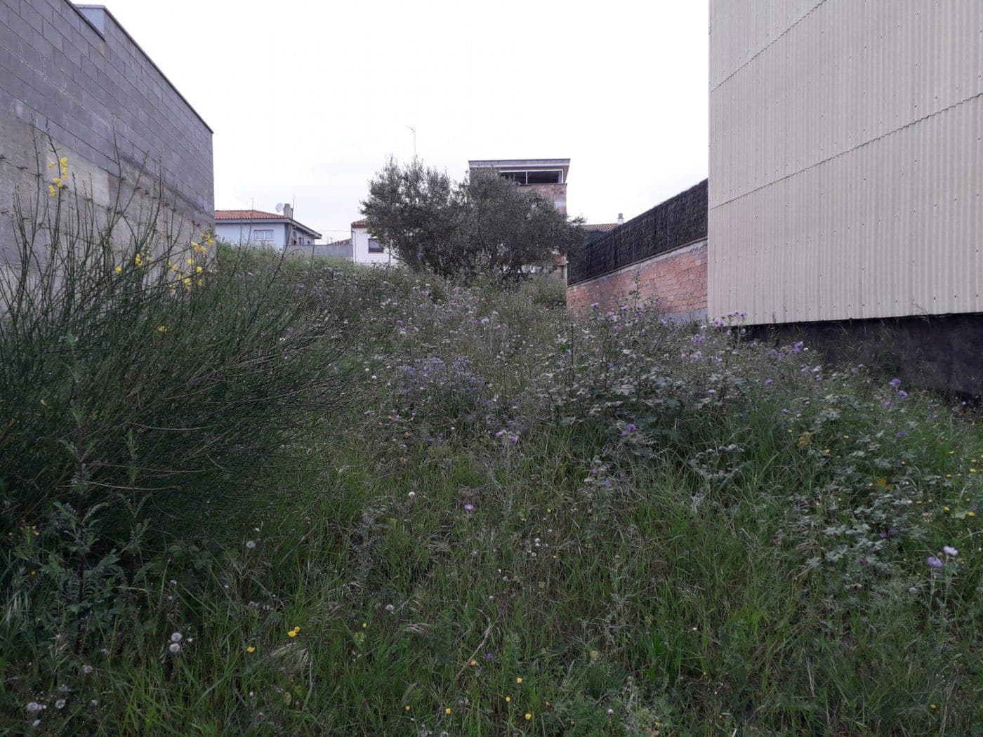 Byggetomt til salgs i Sentmenat - € 80 000 (Ref: 9509990)