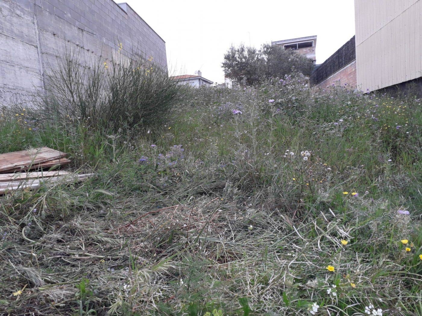 Byggetomt til salgs i Sentmenat - € 80 000 (Ref: 9509990)