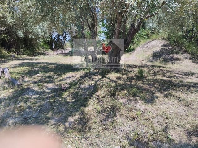 Terre non Aménagée à vendre à Genovés - 49 500 € (Ref: 9613937)