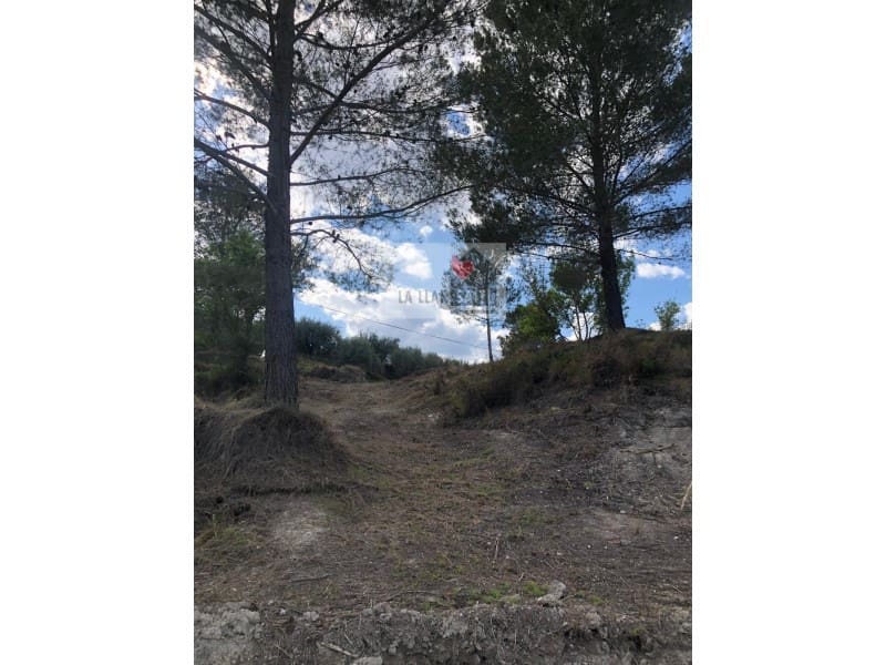 Ubebygd land til salgs i Xativa - € 37 500 (Ref: 9613941)