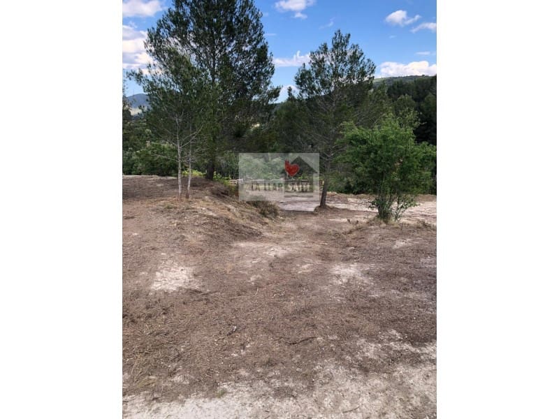 Ubebygd land til salgs i Xativa - € 37 500 (Ref: 9613941)