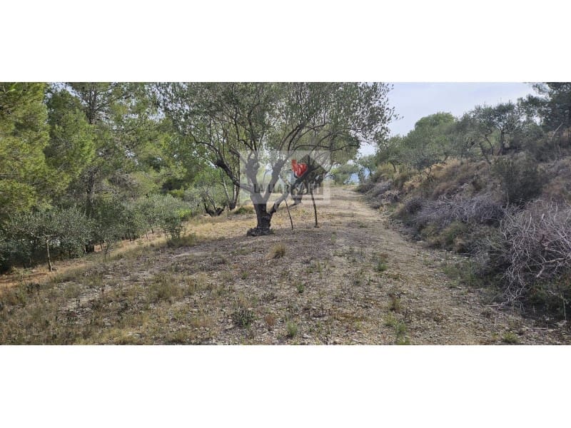 Teren niezagospodarowany na sprzedaż w Rotgla i Corbera - 28 000 € (Ref: 9613958)