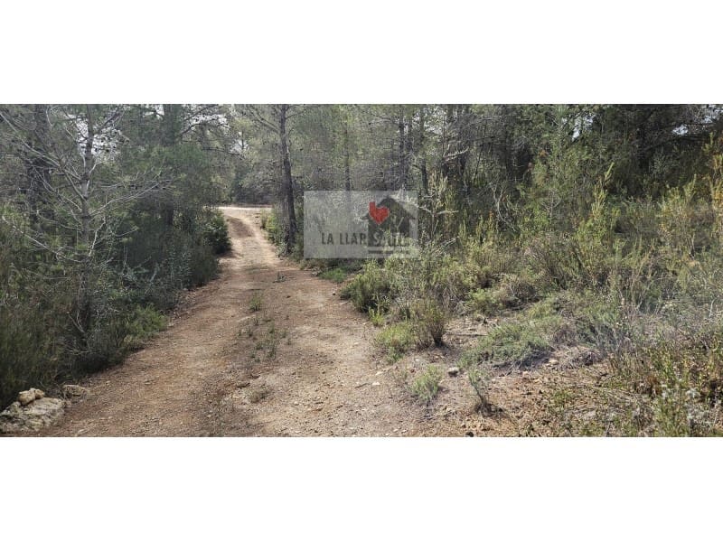 Teren niezagospodarowany na sprzedaż w Rotgla i Corbera - 28 000 € (Ref: 9613958)