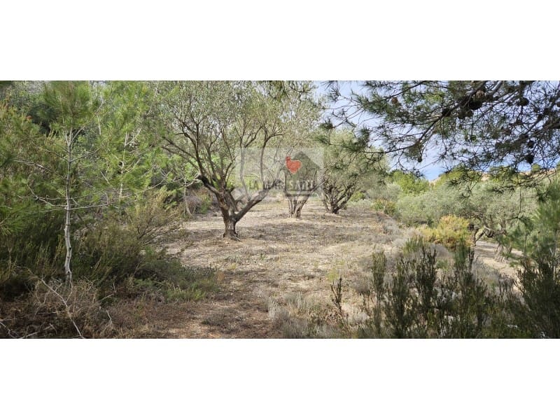 Teren niezagospodarowany na sprzedaż w Rotgla i Corbera - 28 000 € (Ref: 9613958)