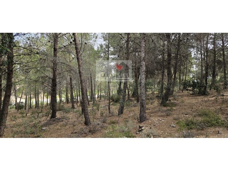 Teren niezagospodarowany na sprzedaż w Rotgla i Corbera - 28 000 € (Ref: 9613958)