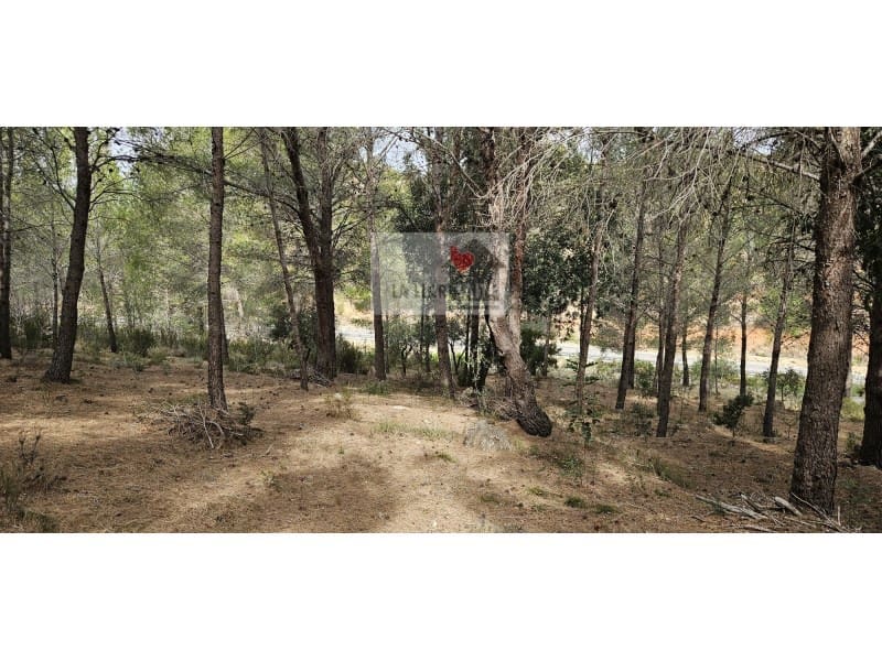Teren niezagospodarowany na sprzedaż w Rotgla i Corbera - 28 000 € (Ref: 9613958)