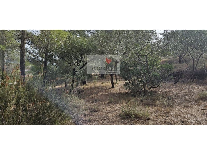Teren niezagospodarowany na sprzedaż w Rotgla i Corbera - 28 000 € (Ref: 9613958)