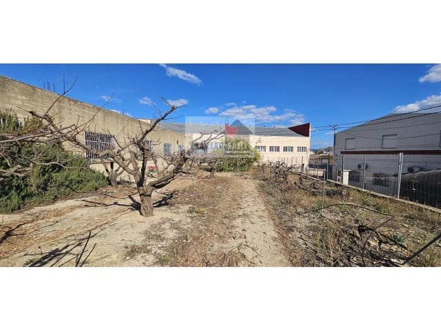 Erhverv til salg i Llosa de Ranes - € 150.000 (Ref: 9613959)