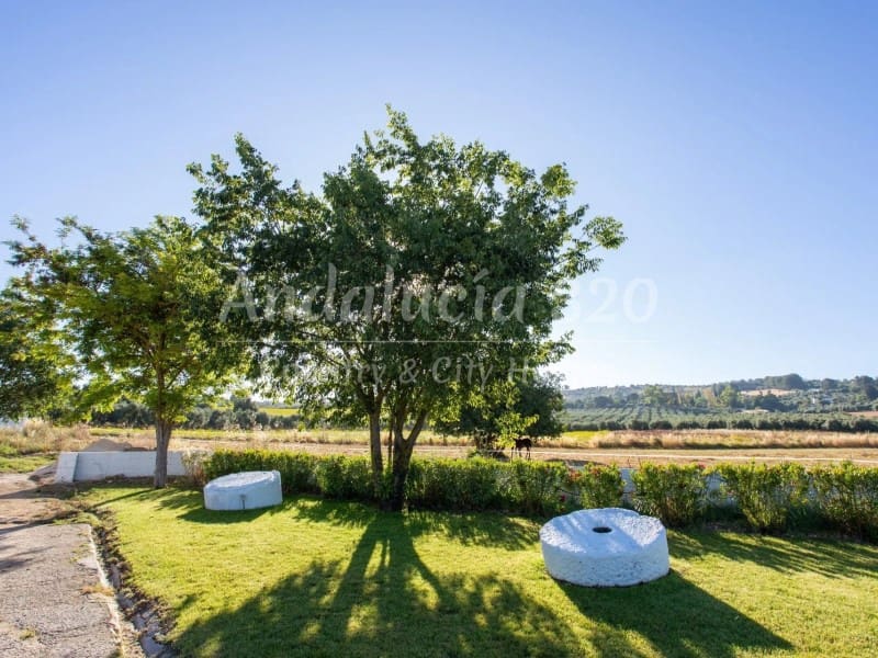 15 Zimmer Finca/Landgut zu verkaufen in Ronda - 1.575.000 € (Ref: 10098191)