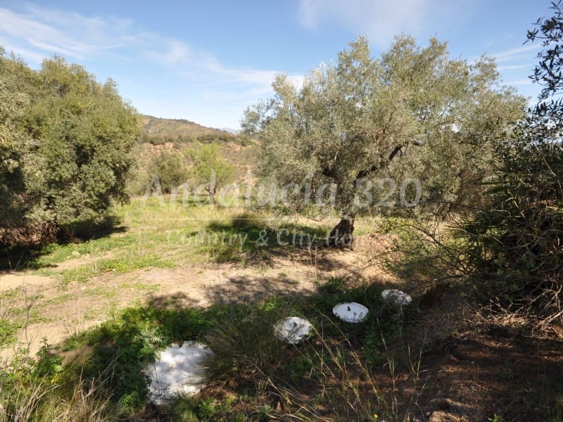 8 soverom Finca/Herregård til salgs i Malaga by - € 900 000 (Ref: 8619314)