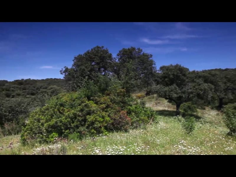 3 soveværelse Finca/Landehus til salg i Almodovar del Rio - € 2.500.000 (Ref: 8619319)