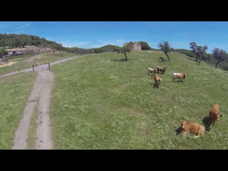 3 soveværelse Finca/Landehus til salg i Almodovar del Rio - € 2.500.000 (Ref: 8619319)