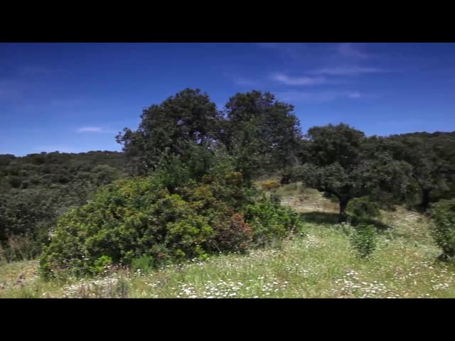 3 Zimmer Finca/Landgut zu verkaufen in Almodóvar del Río - 2.500.000 € (Ref: 8619319)