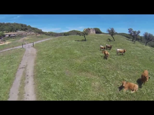 3 Zimmer Finca/Landgut zu verkaufen in Almodóvar del Río - 2.500.000 € (Ref: 8619319)