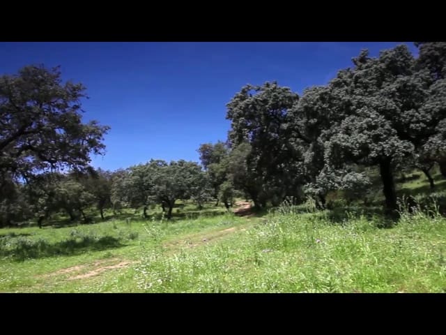 3 Zimmer Finca/Landgut zu verkaufen in Almodóvar del Río - 2.500.000 € (Ref: 8619319)