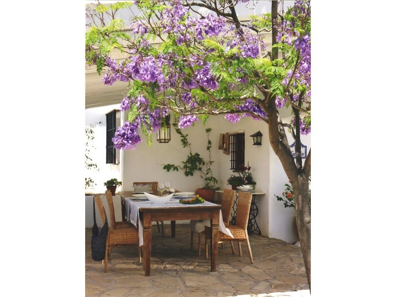 4 slaapkamer Finca/Landhuis te koop in Alcaucin - € 1.295.000 (Ref: 8619328)