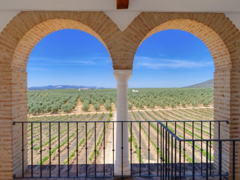 5 soveværelse Finca/Landehus til salg i Antequera - € 1.680.000 (Ref: 8619346)
