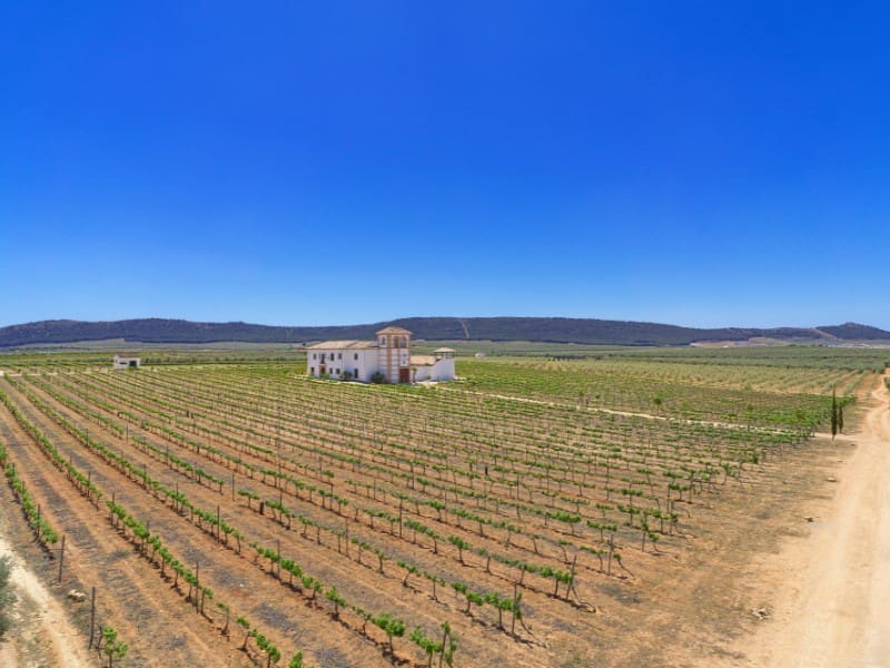 5 soveværelse Finca/Landehus til salg i Antequera - € 1.680.000 (Ref: 8619346)