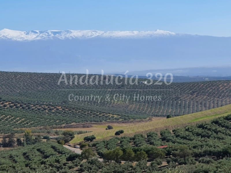 9 bedroom Finca/Country House for sale in Montefrio with pool garage - € 295,000 (Ref: 9489688)