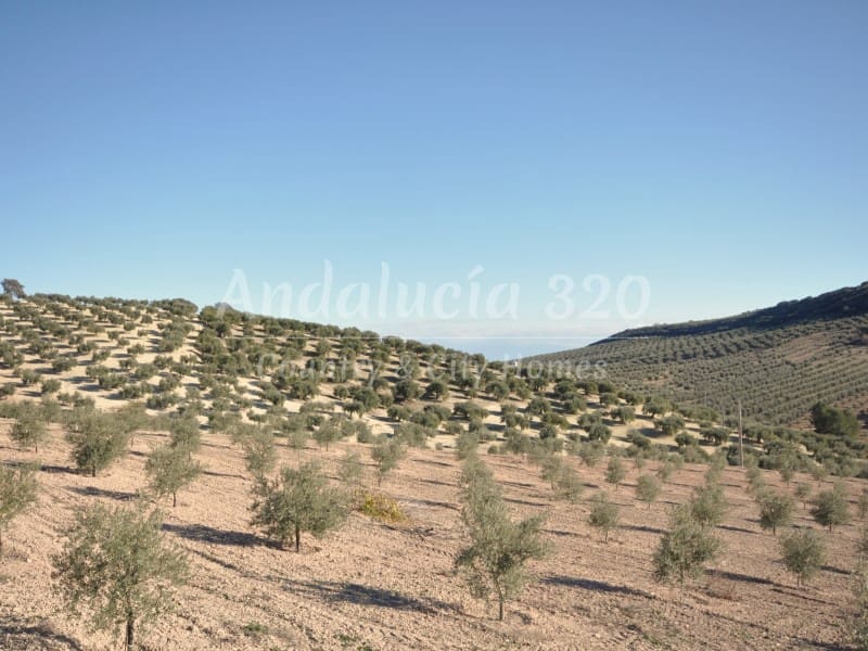 9 bedroom Finca/Country House for sale in Montefrio with pool garage - € 295,000 (Ref: 9489688)