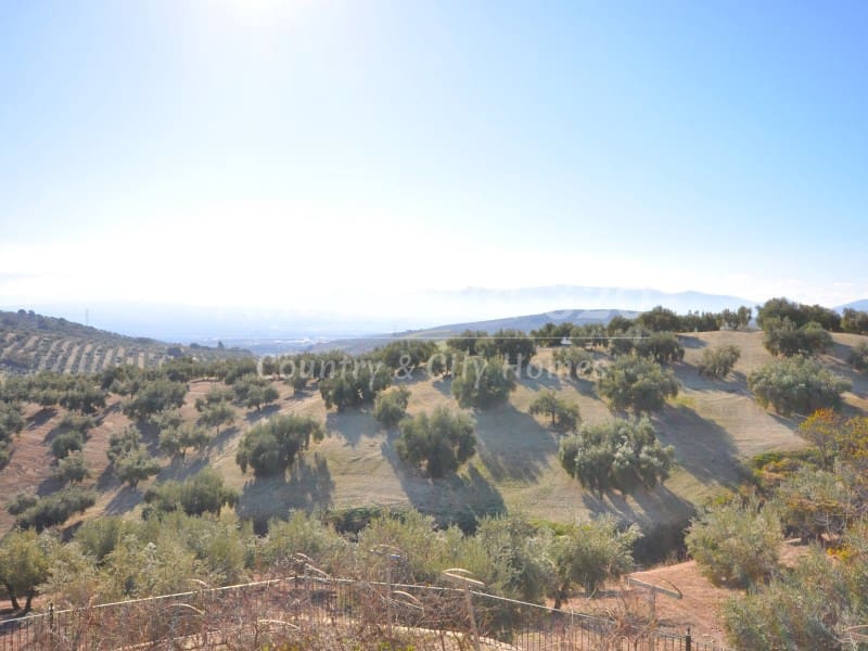 9 bedroom Finca/Country House for sale in Montefrio with pool garage - € 295,000 (Ref: 9489688)