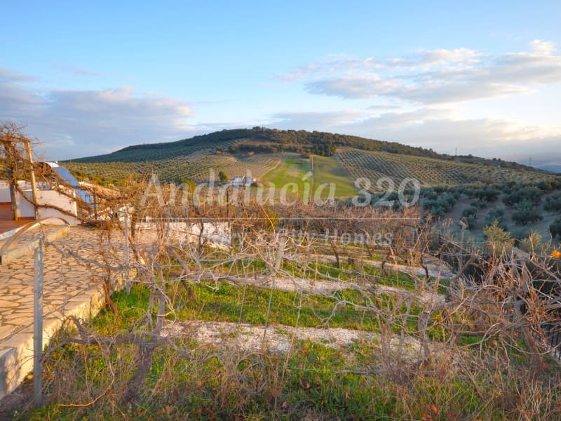 9 bedroom Finca/Country House for sale in Montefrio with pool garage - € 295,000 (Ref: 9489688)