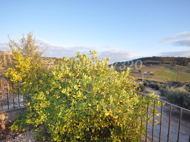 9 bedroom Finca/Country House for sale in Montefrio with pool garage - € 295,000 (Ref: 9489688)