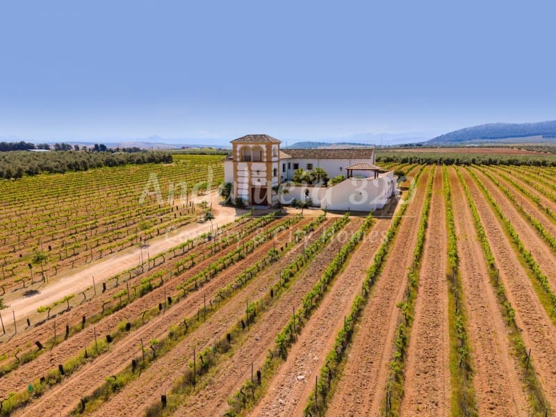 6 bedroom Finca/Country House for sale in Antequera with pool - € 1,180,000 (Ref: 9826602)