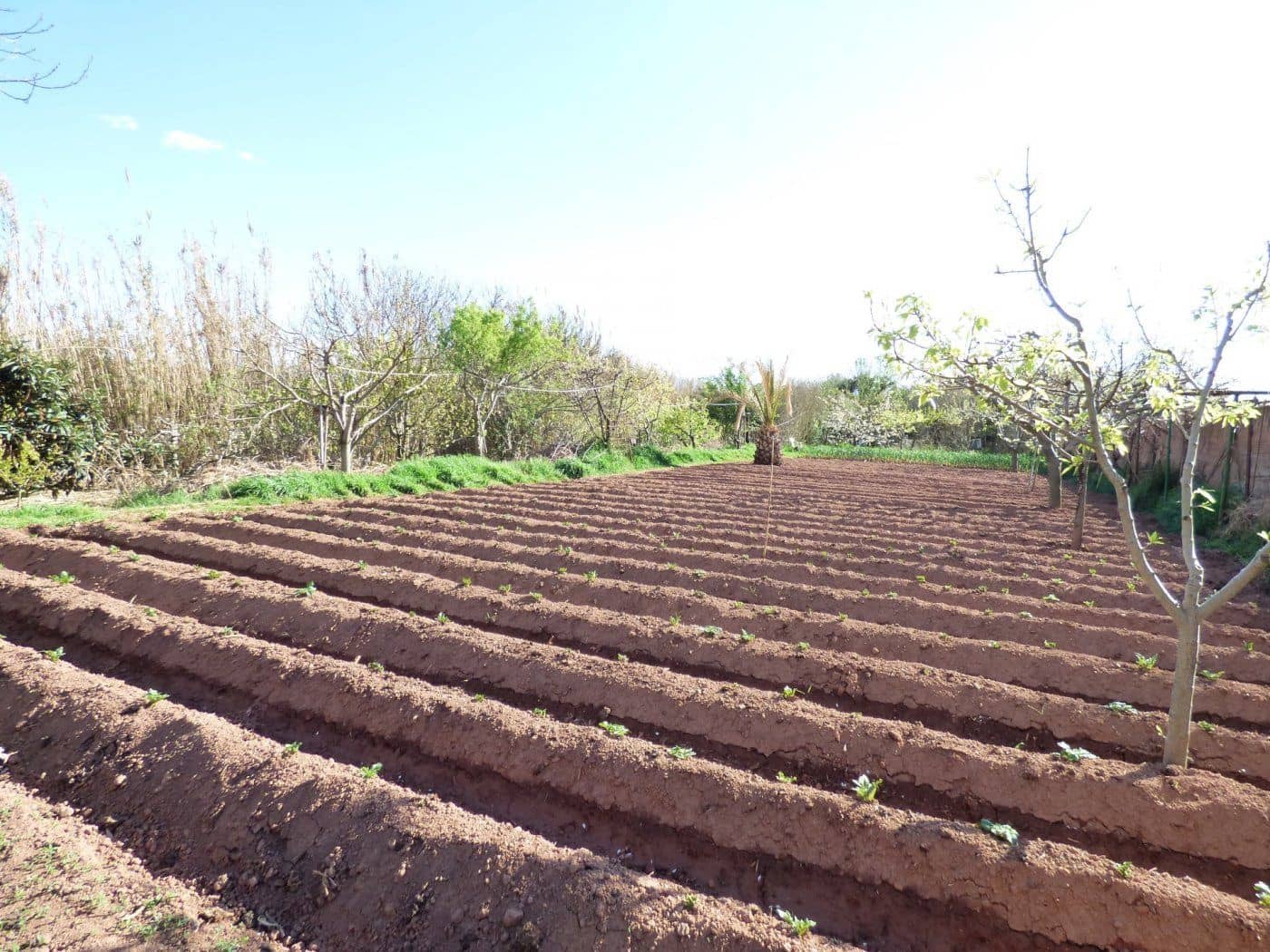 Finca/Maison de Campagne à vendre à Manresa - 96 000 € (Ref: 9552712)
