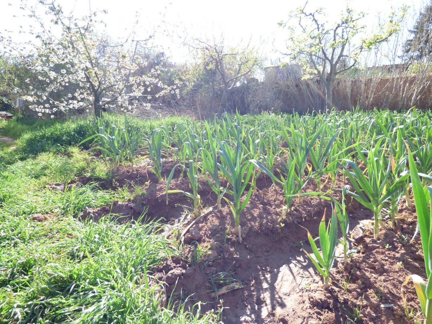 Finca/Maison de Campagne à vendre à Manresa - 96 000 € (Ref: 9552712)