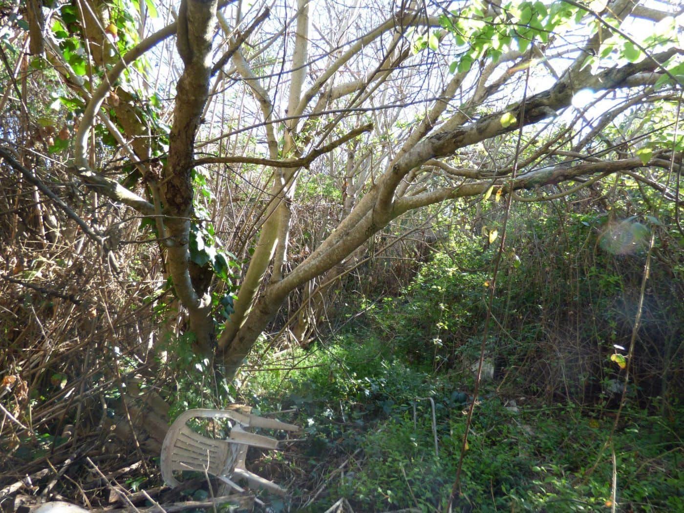 Finca/Maison de Campagne à vendre à Manresa - 96 000 € (Ref: 9552712)