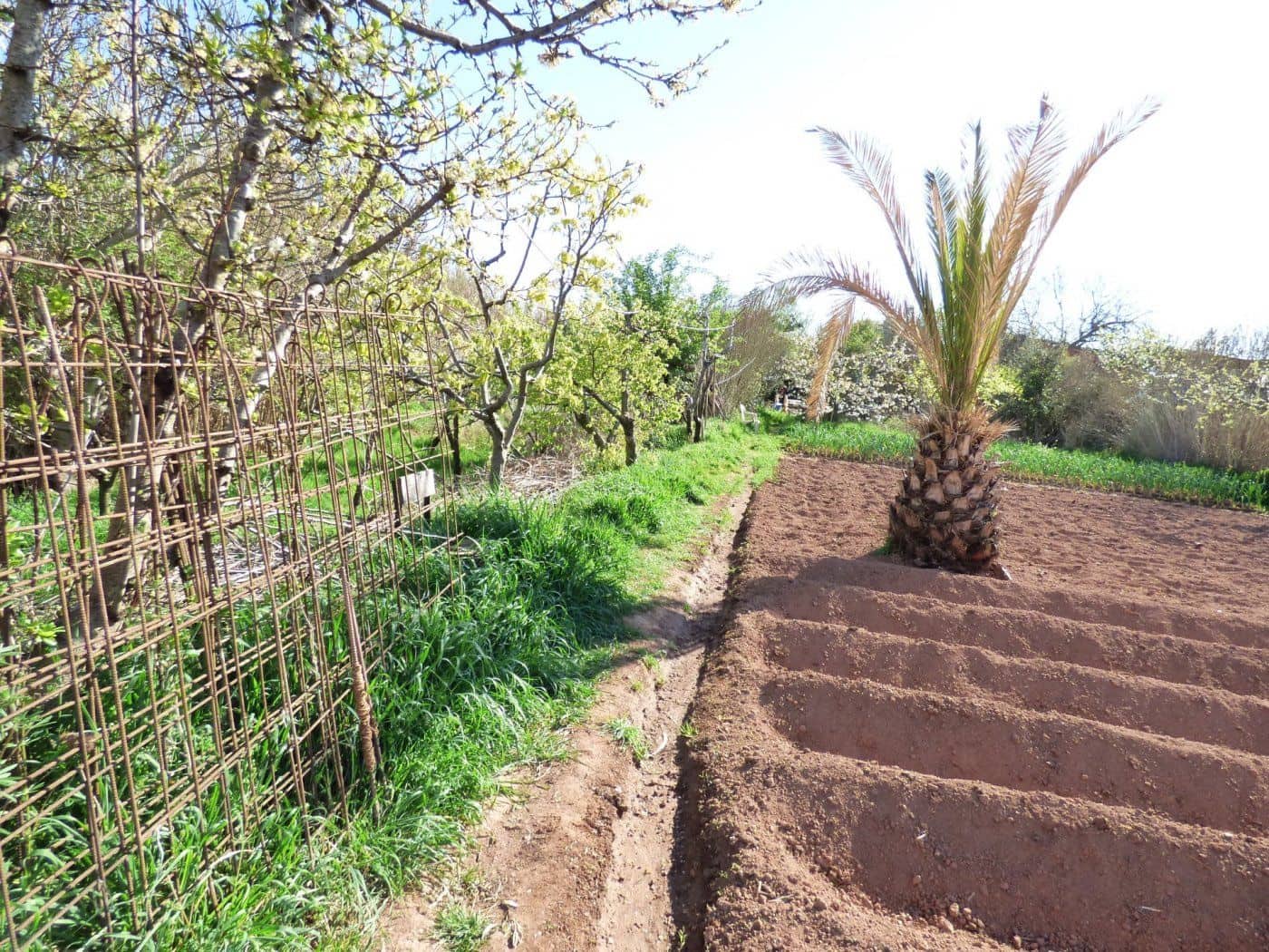 Finca/Maison de Campagne à vendre à Manresa - 96 000 € (Ref: 9552712)