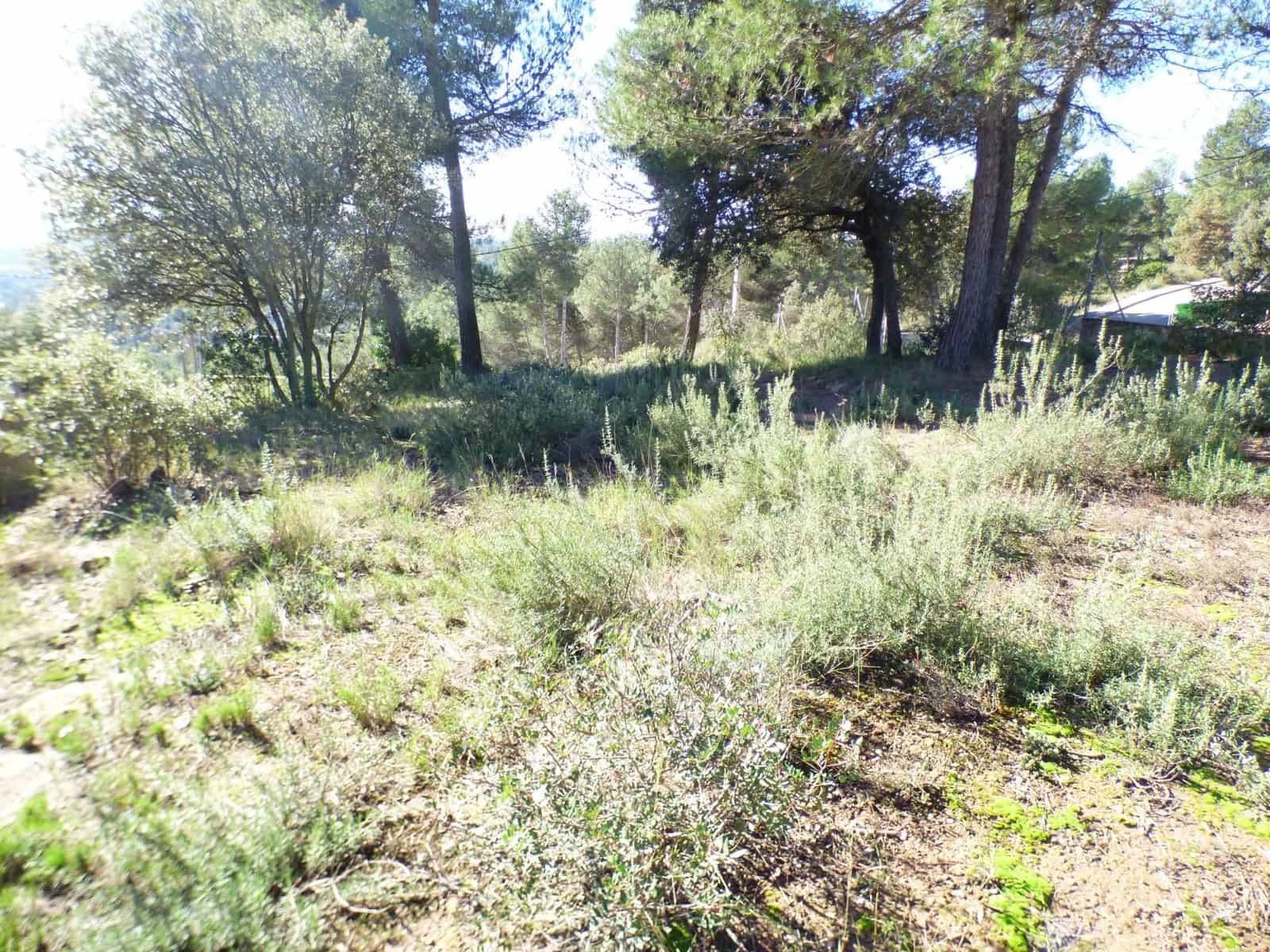 Landgrundstück zu verkaufen in Castellnou de Bages - 50.000 € (Ref: 9552722)