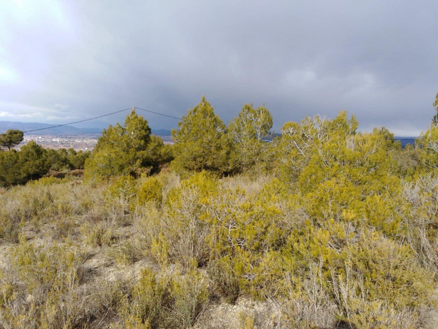 Byggegrund til salg i Barcelona by - € 70.000 (Ref: 9552723)