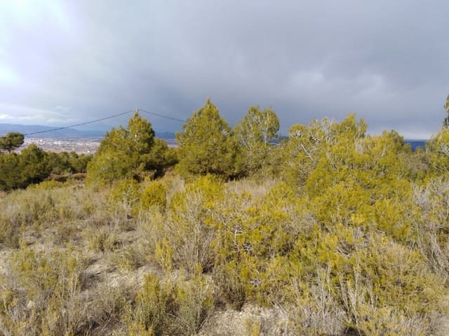 Byggegrund til salg i Barcelona by - € 70.000 (Ref: 9552723)