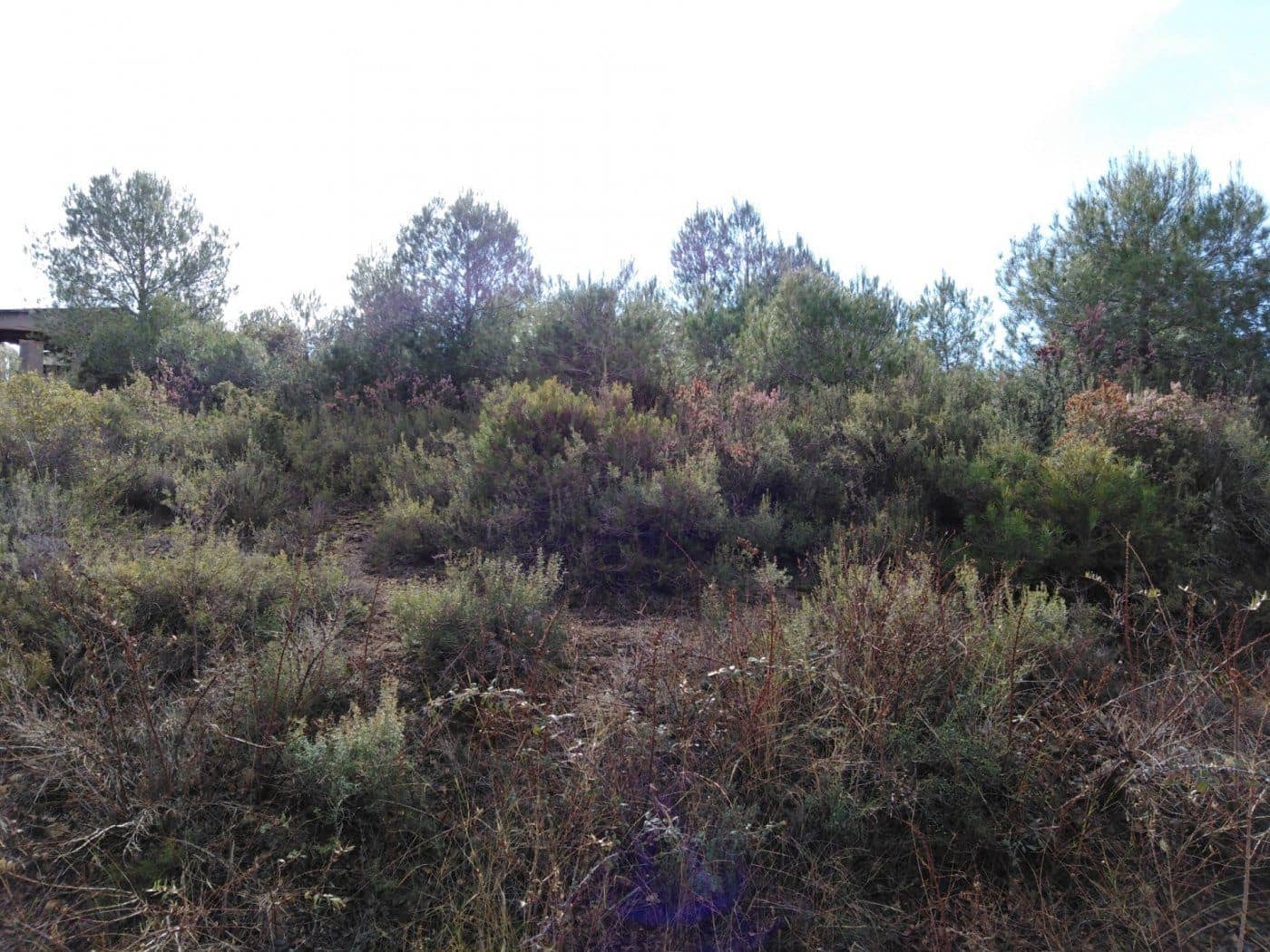 Byggegrund til salg i Barcelona by - € 70.000 (Ref: 9552723)