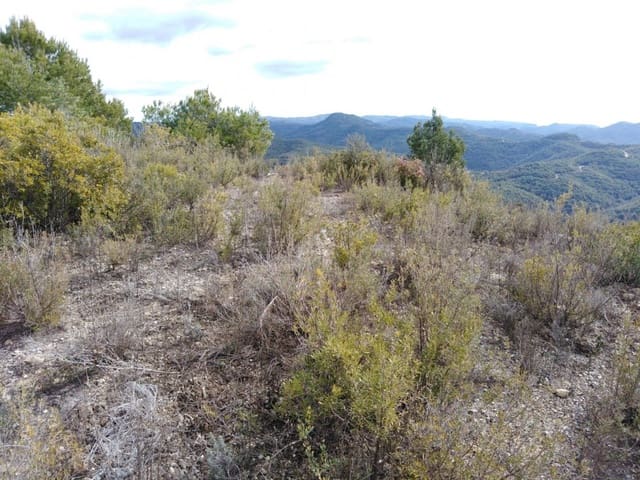 Byggegrund til salg i Barcelona by - € 70.000 (Ref: 9552723)