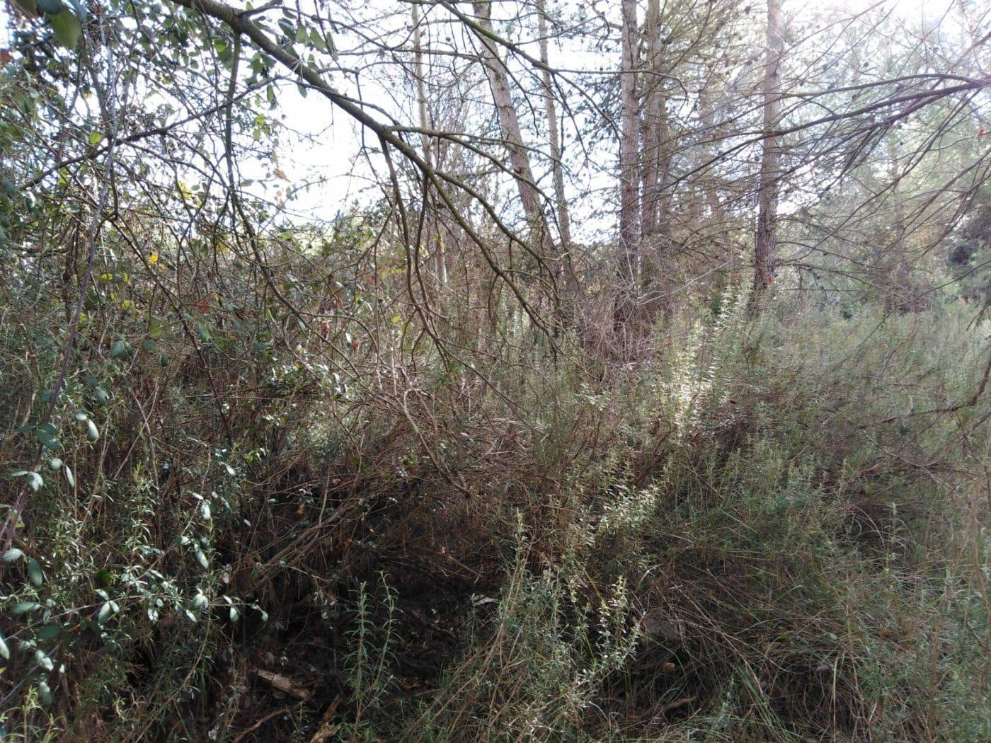 Area Edificabile in vendita in Barcelona citta - 44.000 € (Rif: 9552741)