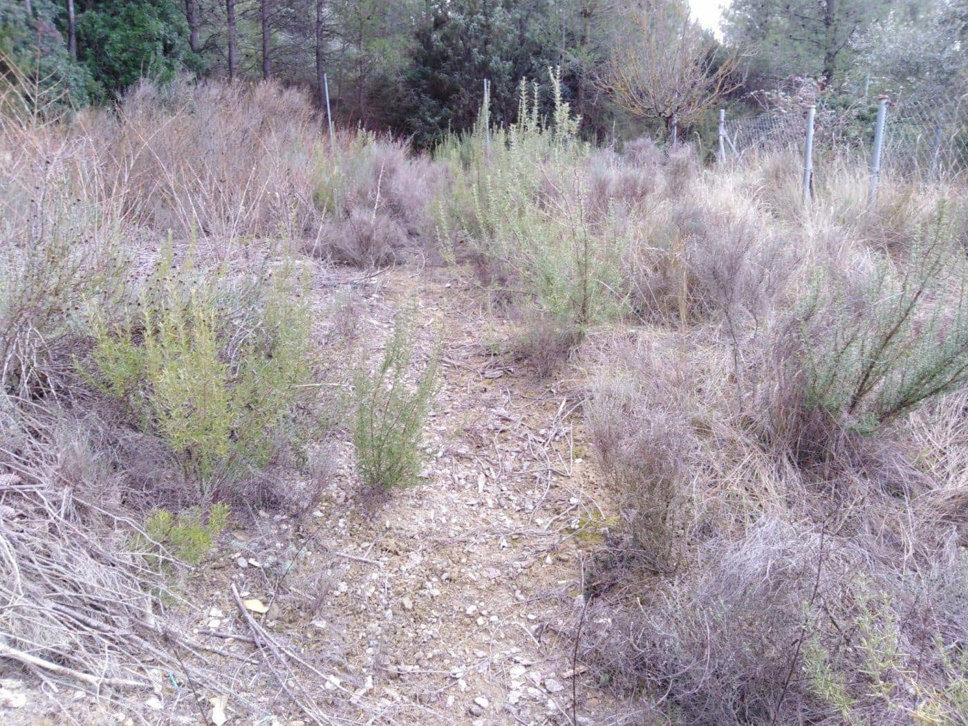 Area Edificabile in vendita in Barcelona citta - 50.000 € (Rif: 9552743)