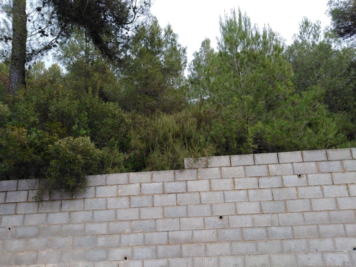 Byggegrund til salg i Barcelona by - € 44.000 (Ref: 9552744)