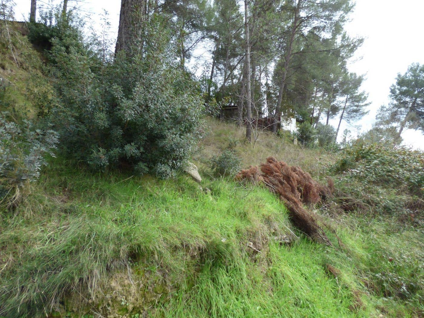 Solar/Parcela en Castellgalí en venta - 22.500 € (Ref: 9552754)