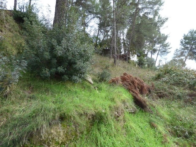 Solar/Parcela en Castellgalí en venta - 22.500 € (Ref: 9552754)