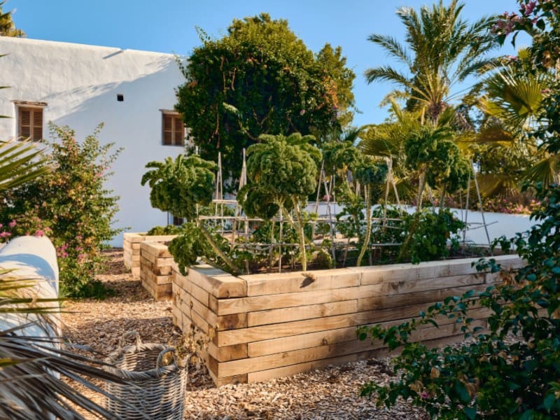 8 sypialnia Finka/Dom wiejski na sprzedaż w Puig de'n Valls z garażem - 6 900 000 € (Ref: 8611902)