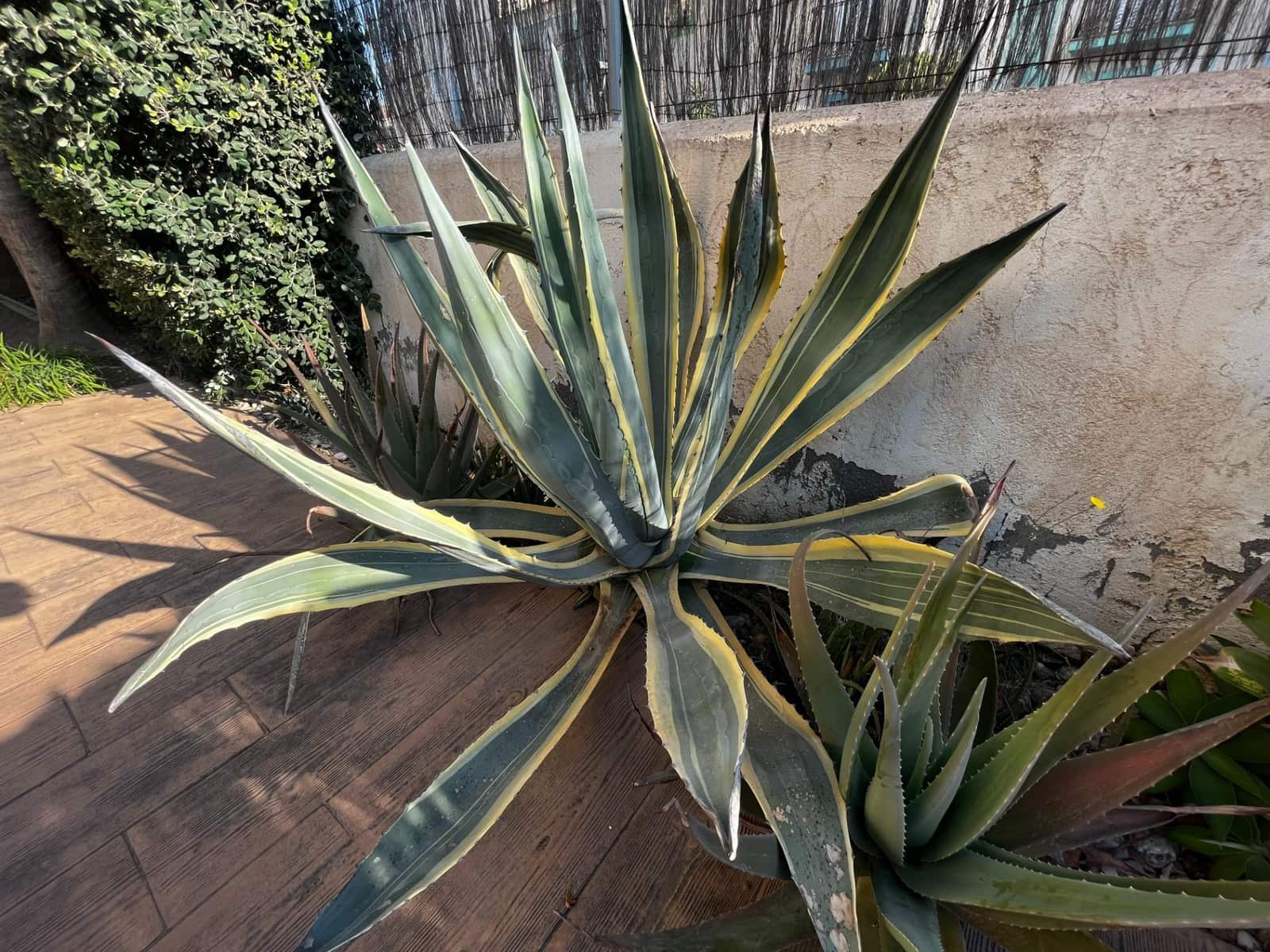 4 soverom Villa til salgs i Vera med svømmebasseng - € 690 000 (Ref: 7876920)