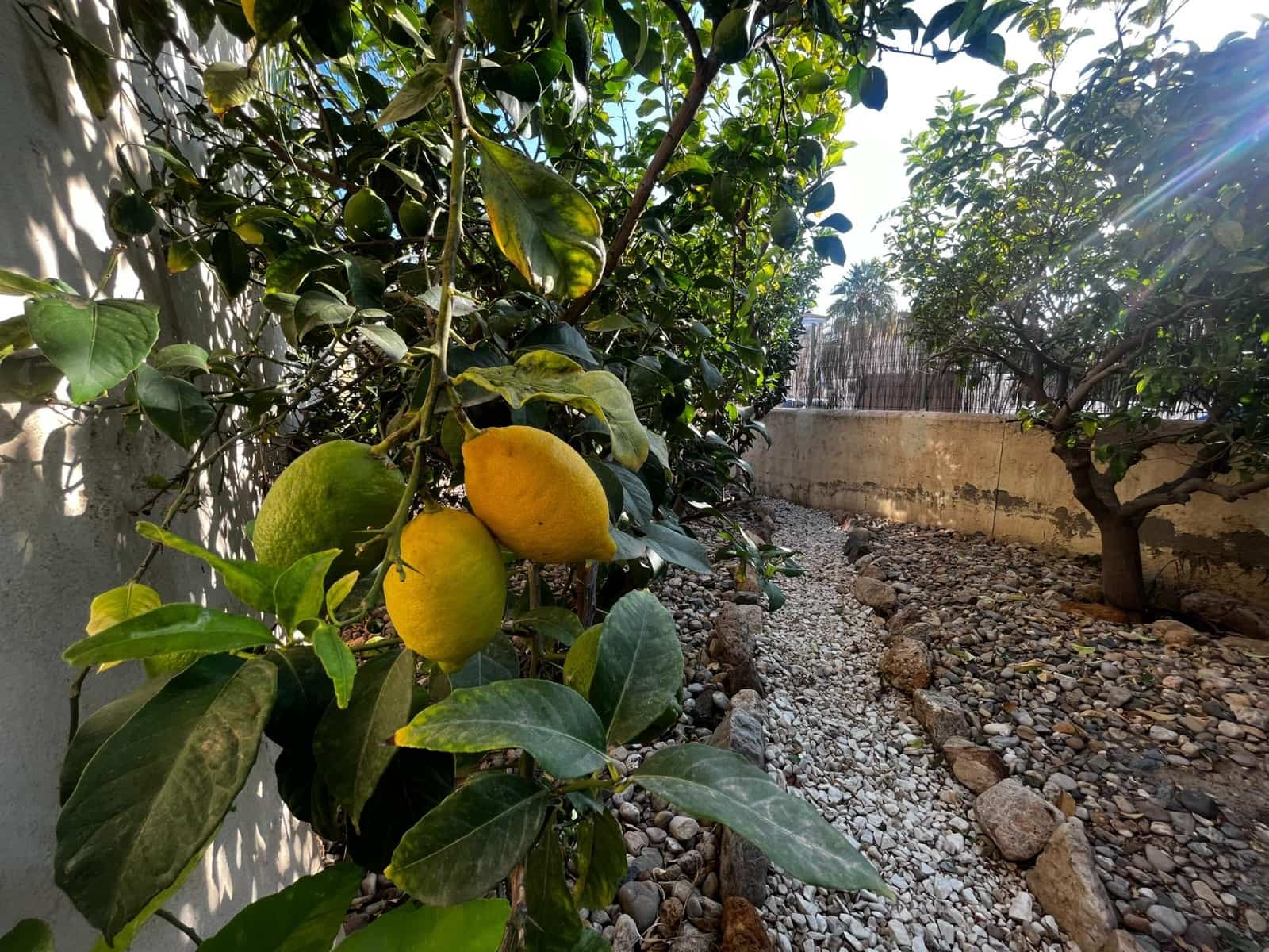 4 soverom Villa til salgs i Vera med svømmebasseng - € 690 000 (Ref: 7876920)