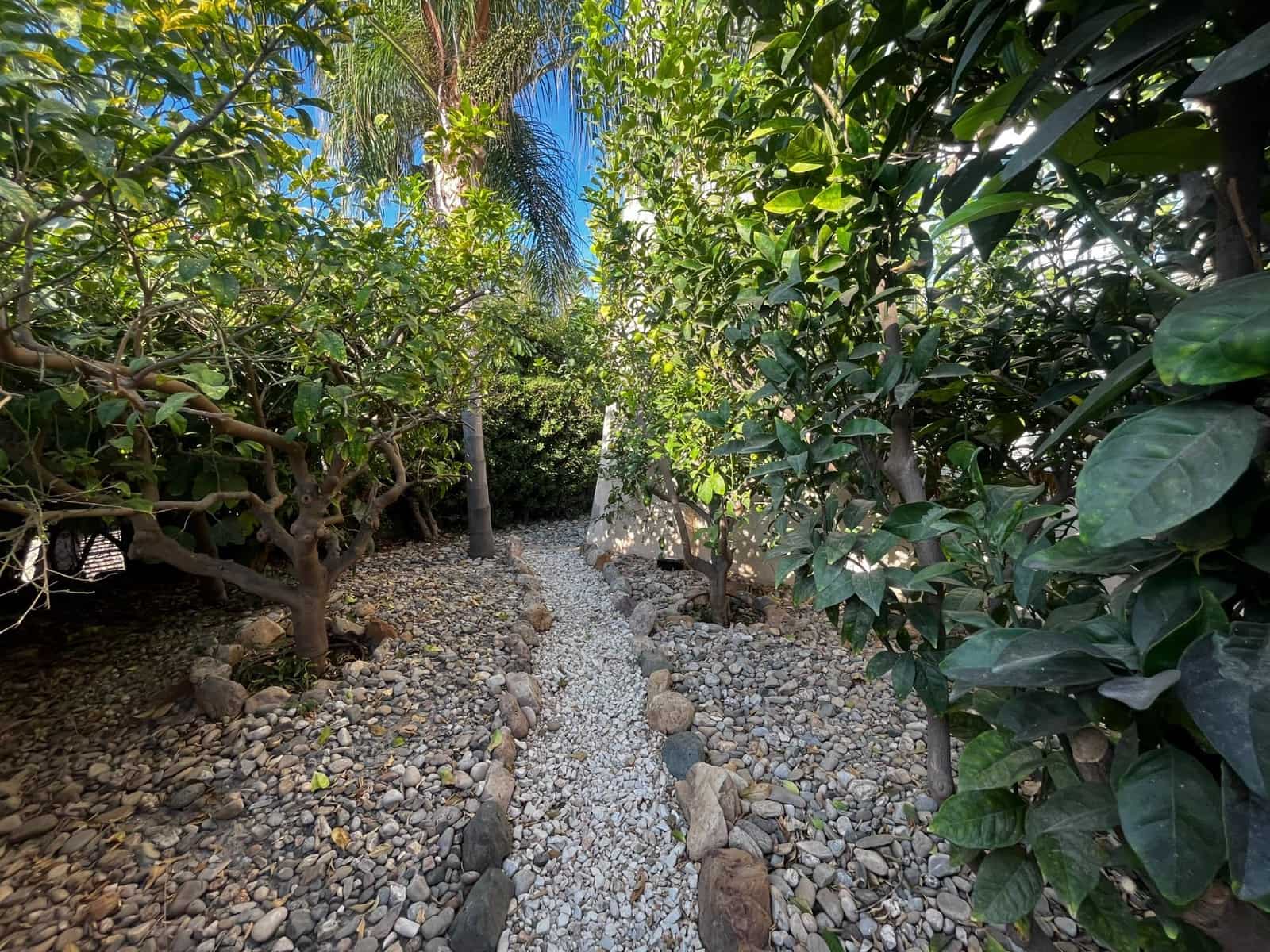 4 soverom Villa til salgs i Vera med svømmebasseng - € 690 000 (Ref: 7876920)