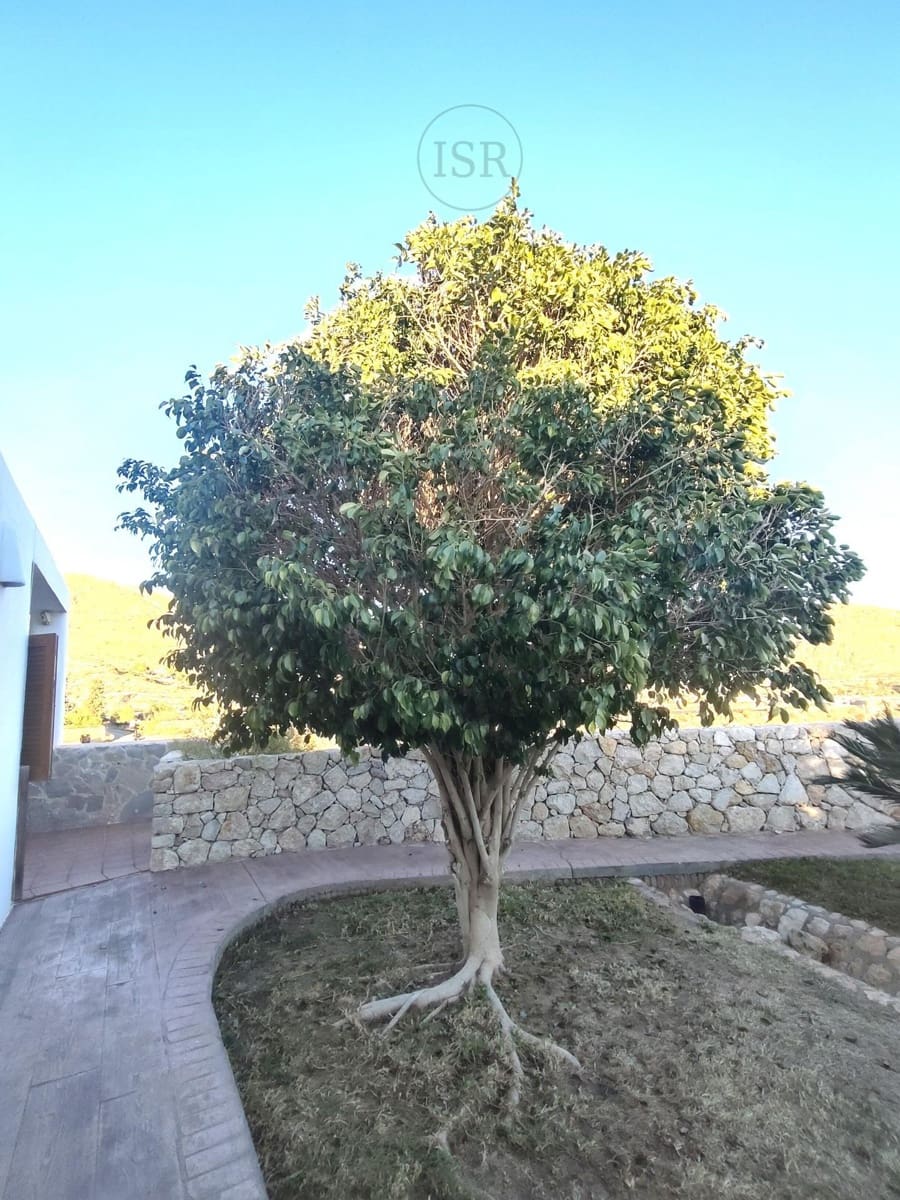 5 soverom Villa til salgs i Nijar med svømmebasseng garasje - € 569 000 (Ref: 8012899)